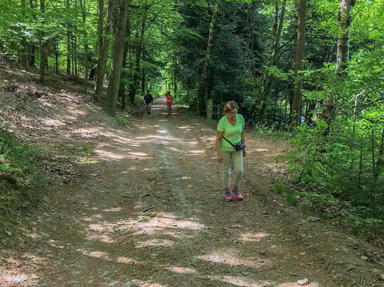 Szlak Porąbka - Trzonka-Porabka必去景点