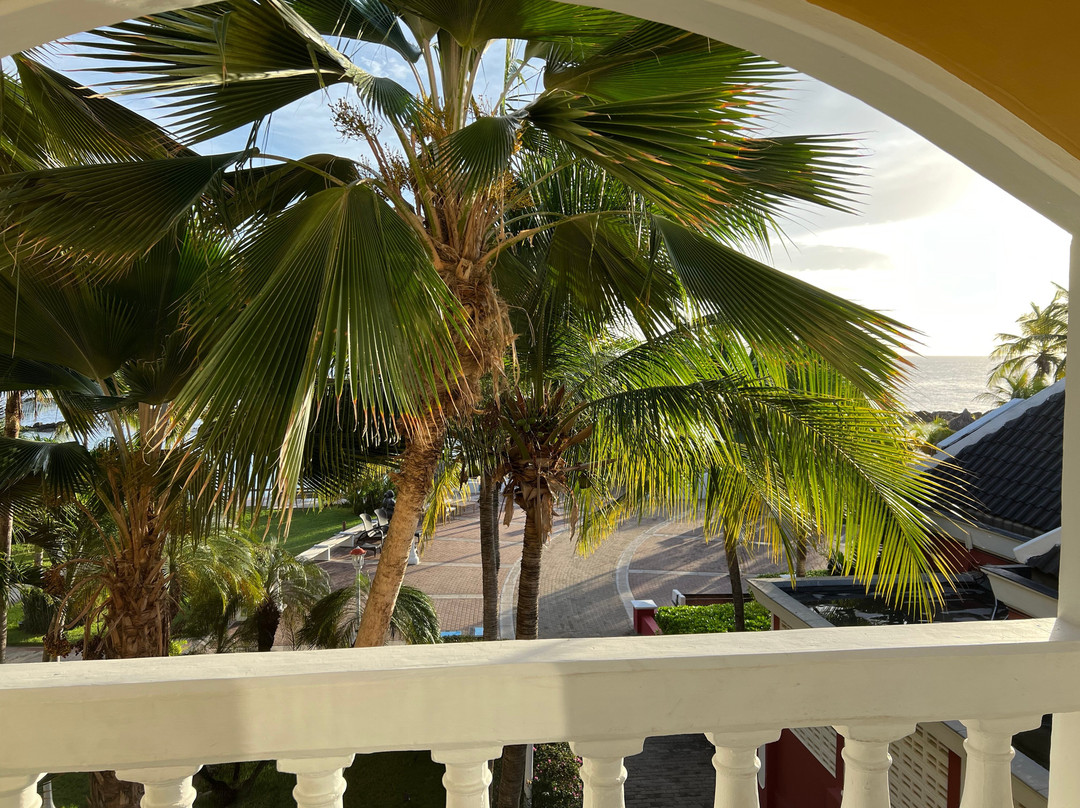 库拉索阿维拉酒店主图