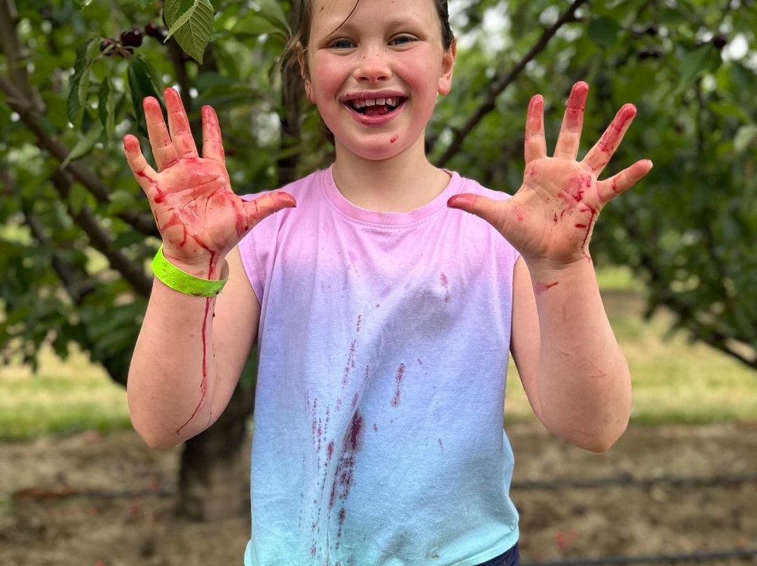 Cherryhill Orchards-Wandin East必去景点