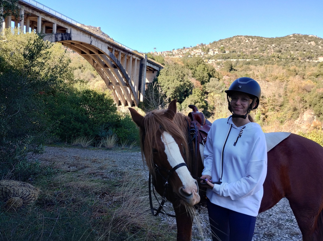 Stefi's Equestrian Tours景点图片