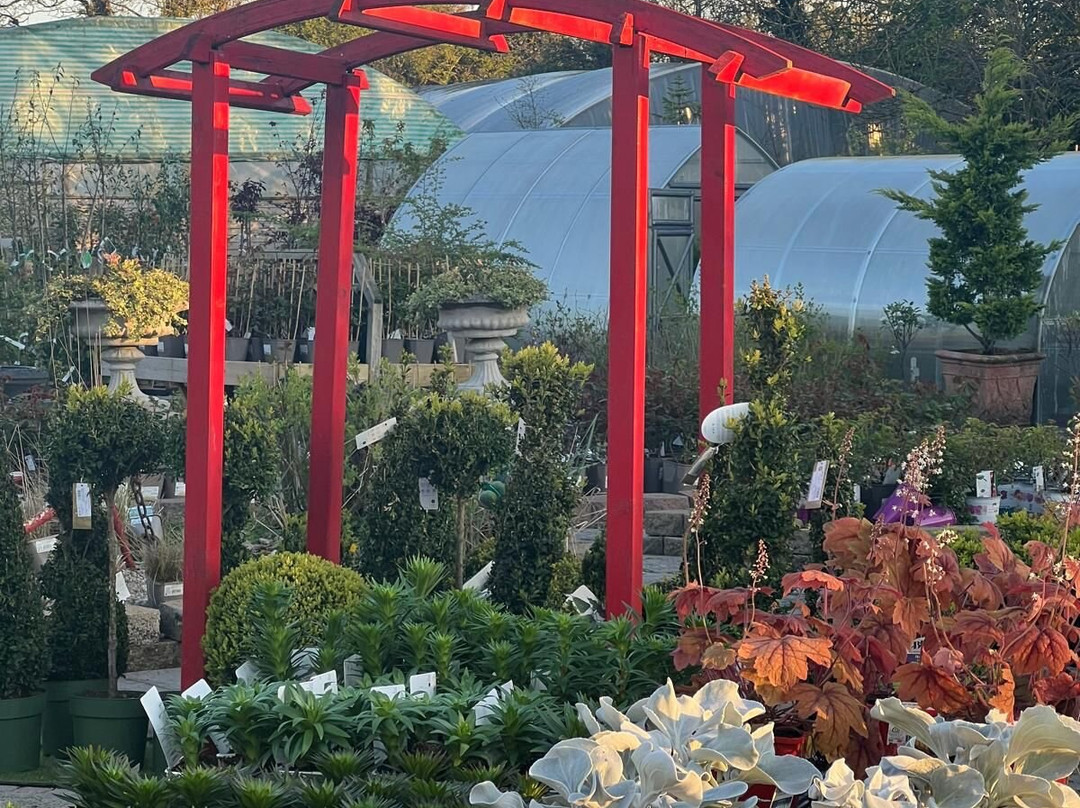 Longford Garden Centre-Longford必去景点