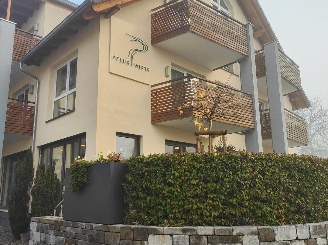 Pflugwirts Gasthaus mit Hotel主图