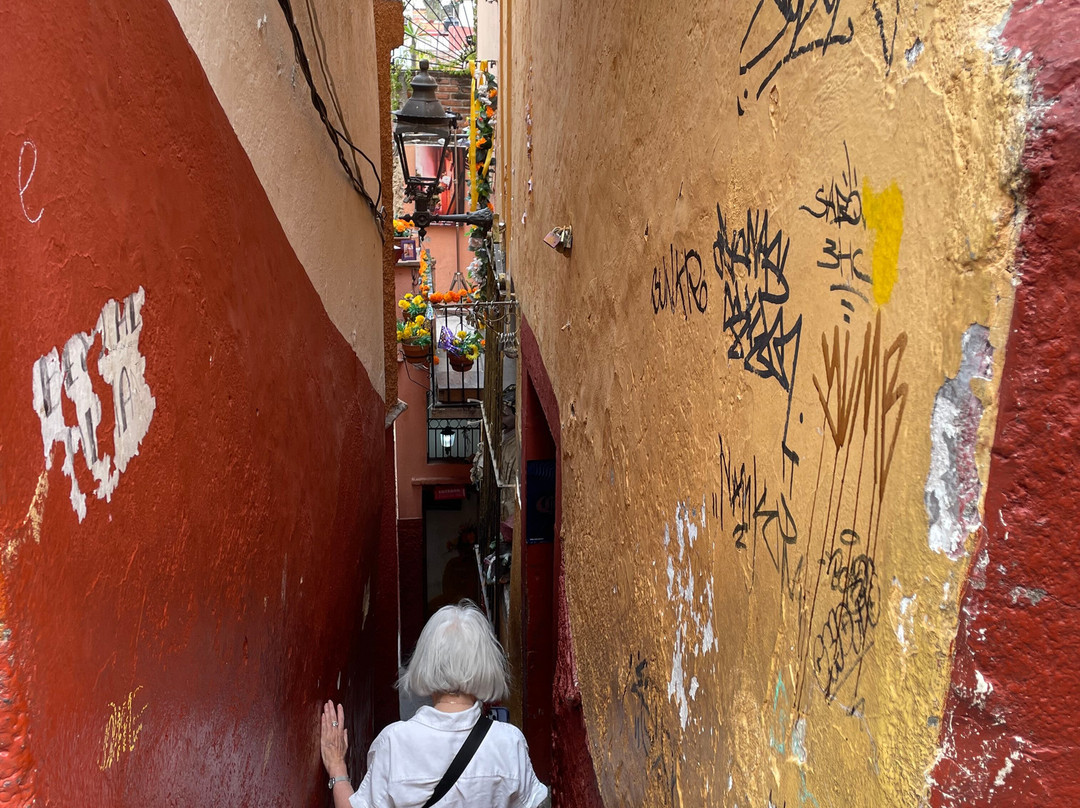Estigo Tours景点图片