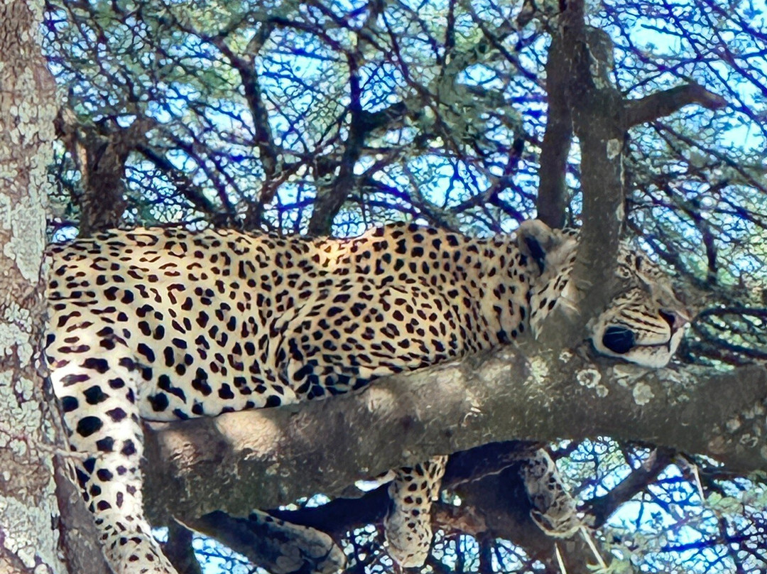 Extreme Expedition Tours-卡拉图必去景点