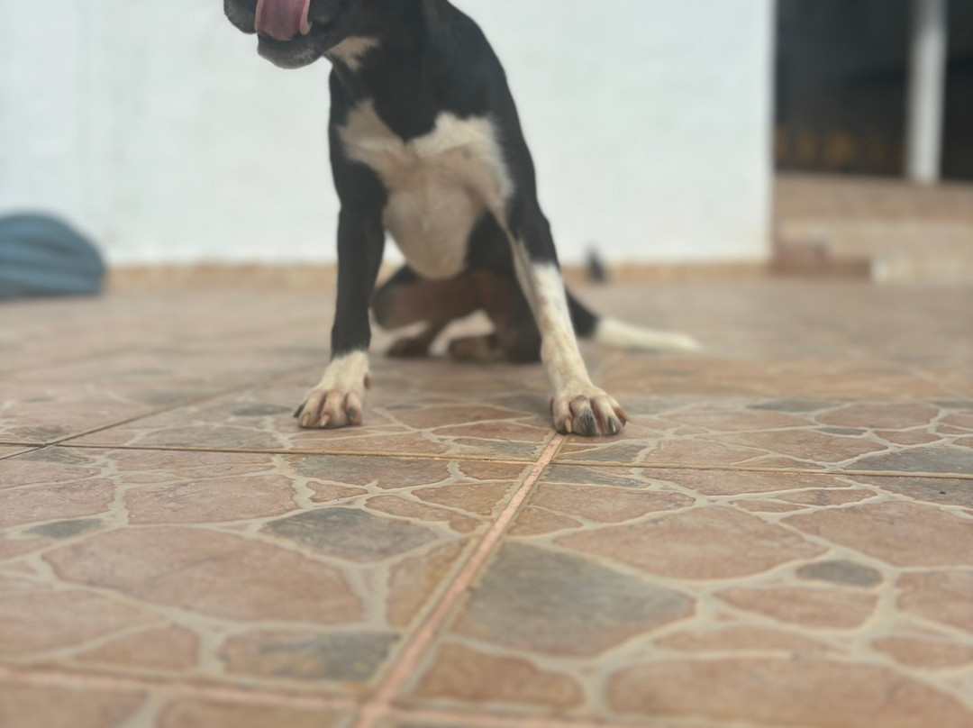 La Maravilla B&B主图