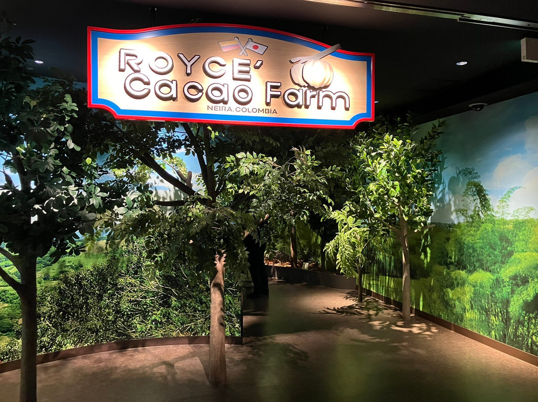 ROYCE' CACAO & CHOCOLATE TOWN-当别町必去景点