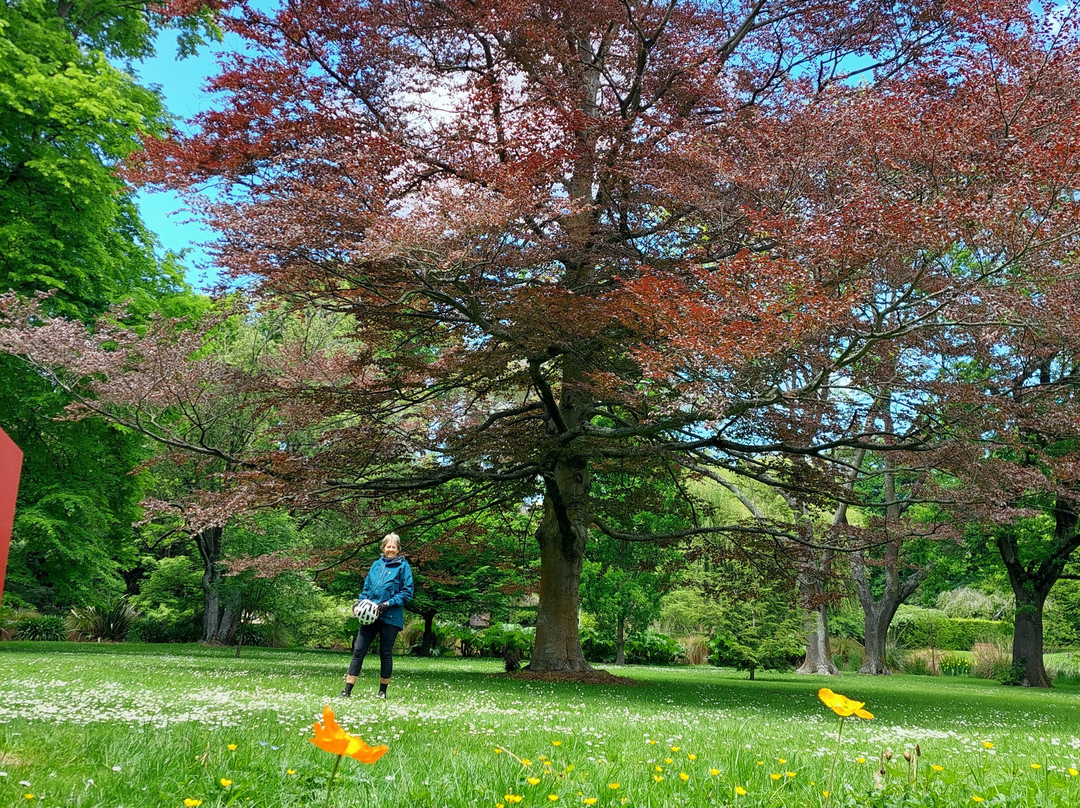 Cycle Journeys Twizel-特威泽尔必去景点