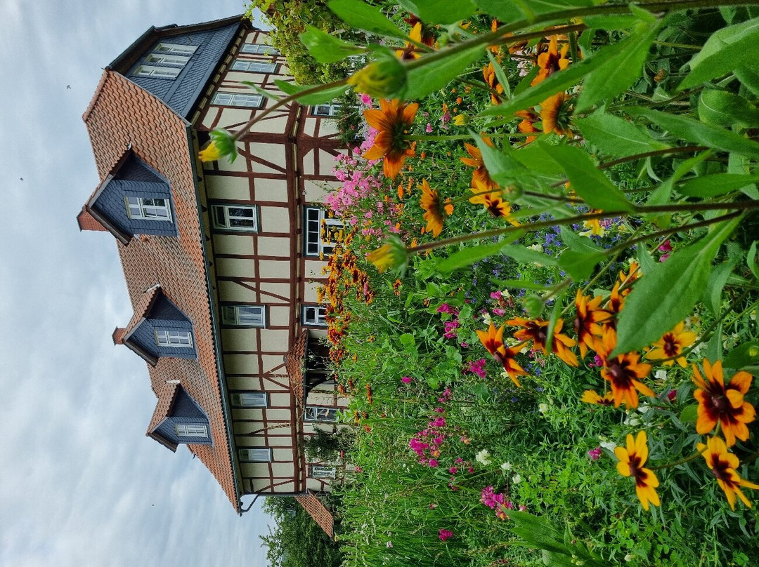 Hof Sickenberg主图