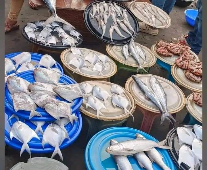 Hotel & Lodge Nisarg Niwara