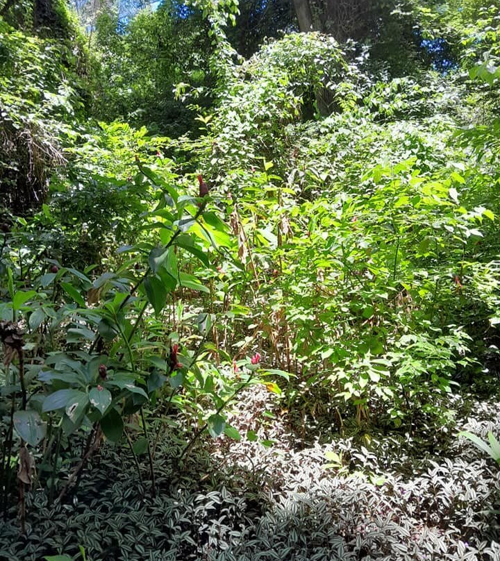 Parque da Biquinha-索罗卡巴必去景点