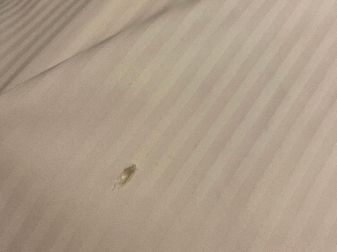 Moderno Hotel Pavia主图