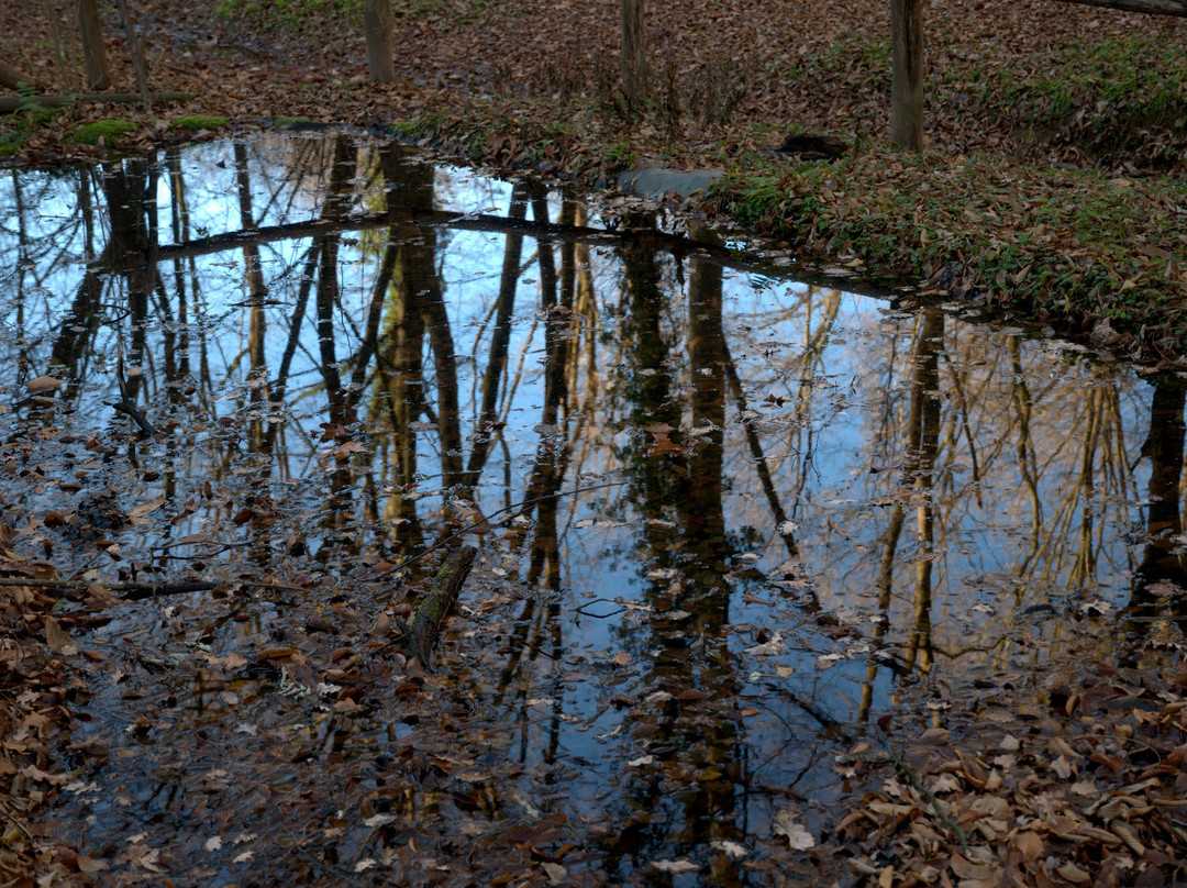 Bosco Chignolo-Triuggio必去景点