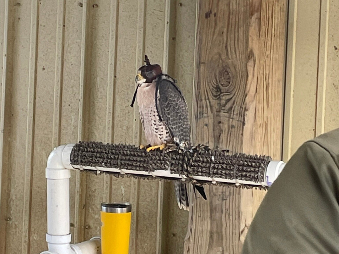 The Greenbrier Outfitters-White Sulphur Springs必去景点