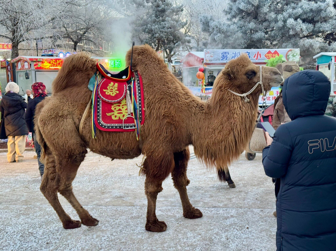 松江中路-吉林市必去景点
