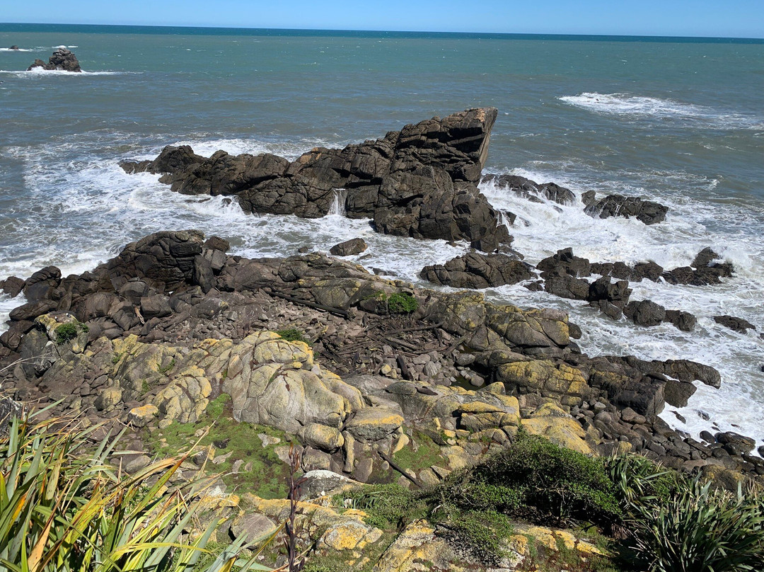 Tauranga Bay Seal Colony-韦斯特波特必去景点