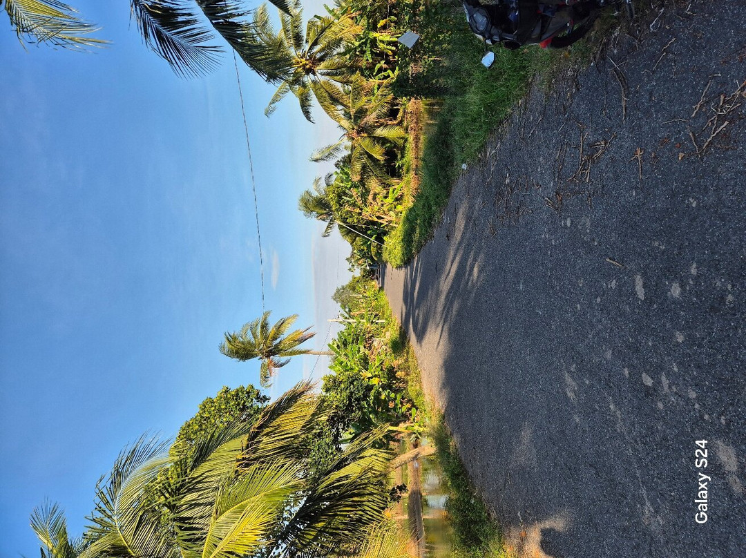 Quoc Phuong Riverside Homestay主图