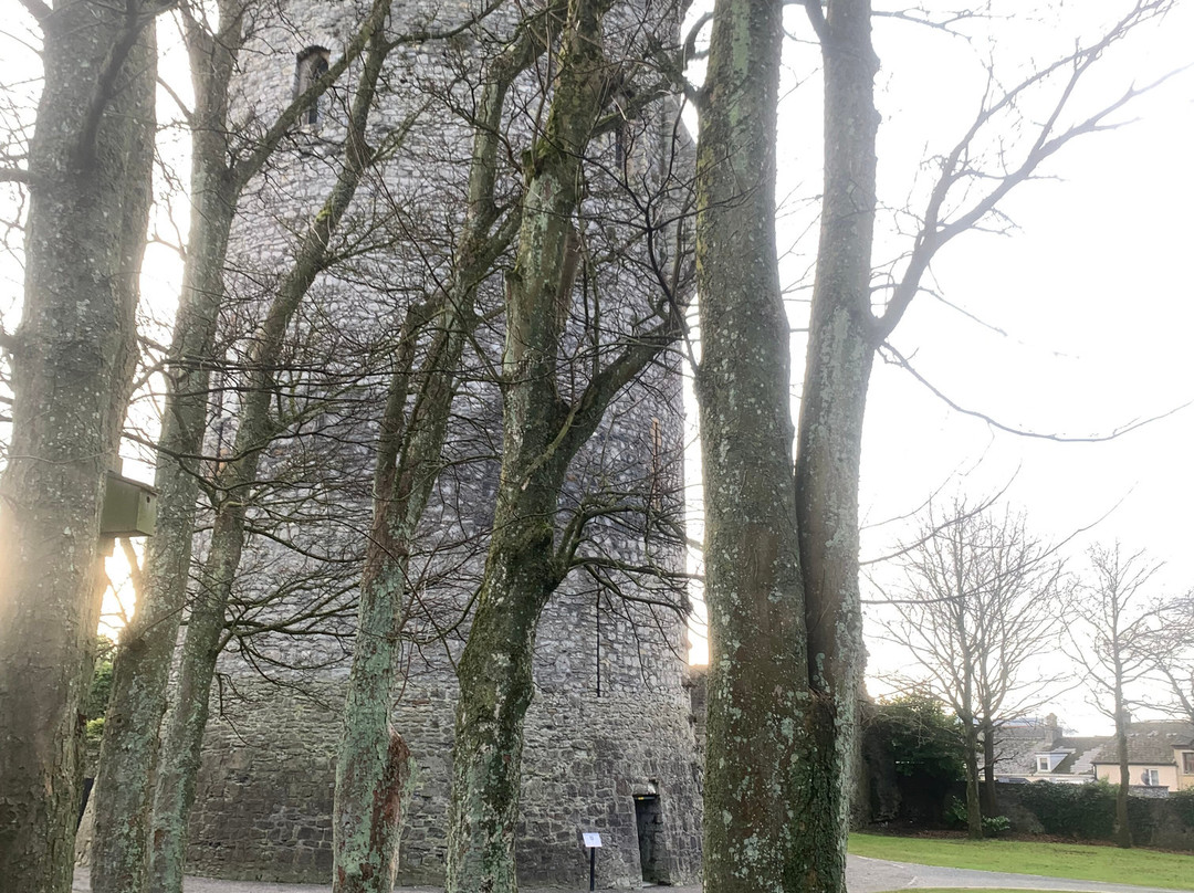 Nenagh Castle景点图片