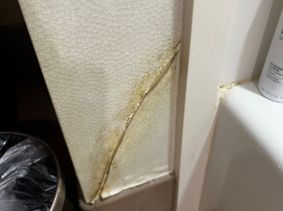 Embassy Suites by Hilton Savannah Airport主图