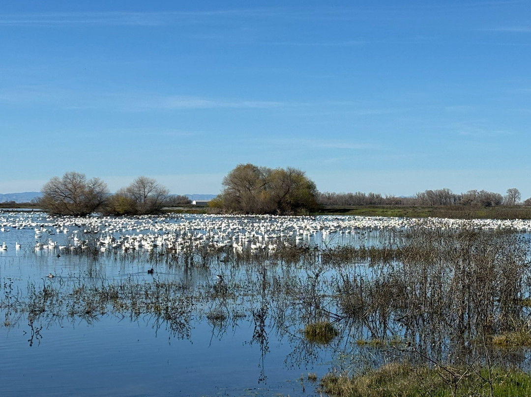 默塞德国家野生动物保护区-默塞德必去景点