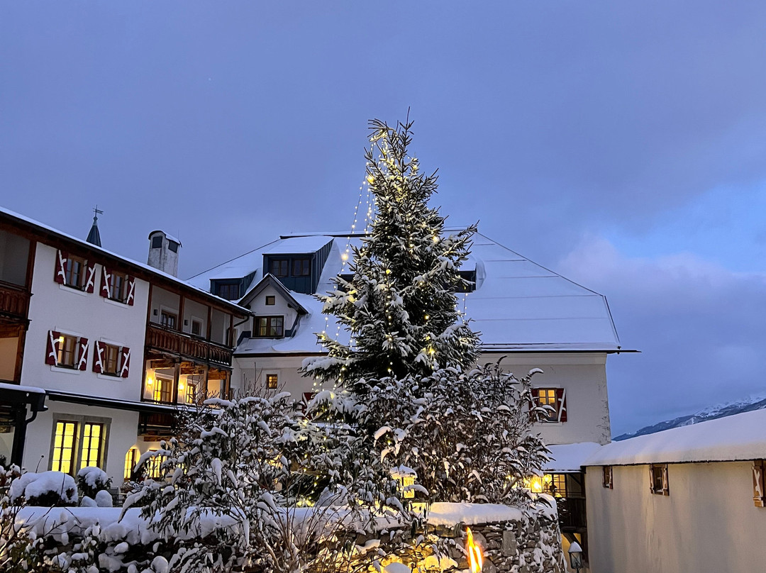 Schloss Mittersill主图