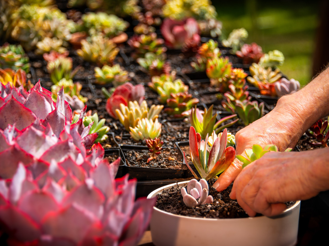 Kula Pueo Farm Tours-库拉必去景点