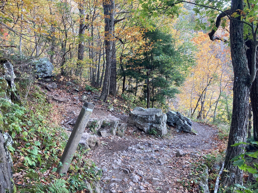 Lewis Falls Trail-雪兰多国家公园必去景点