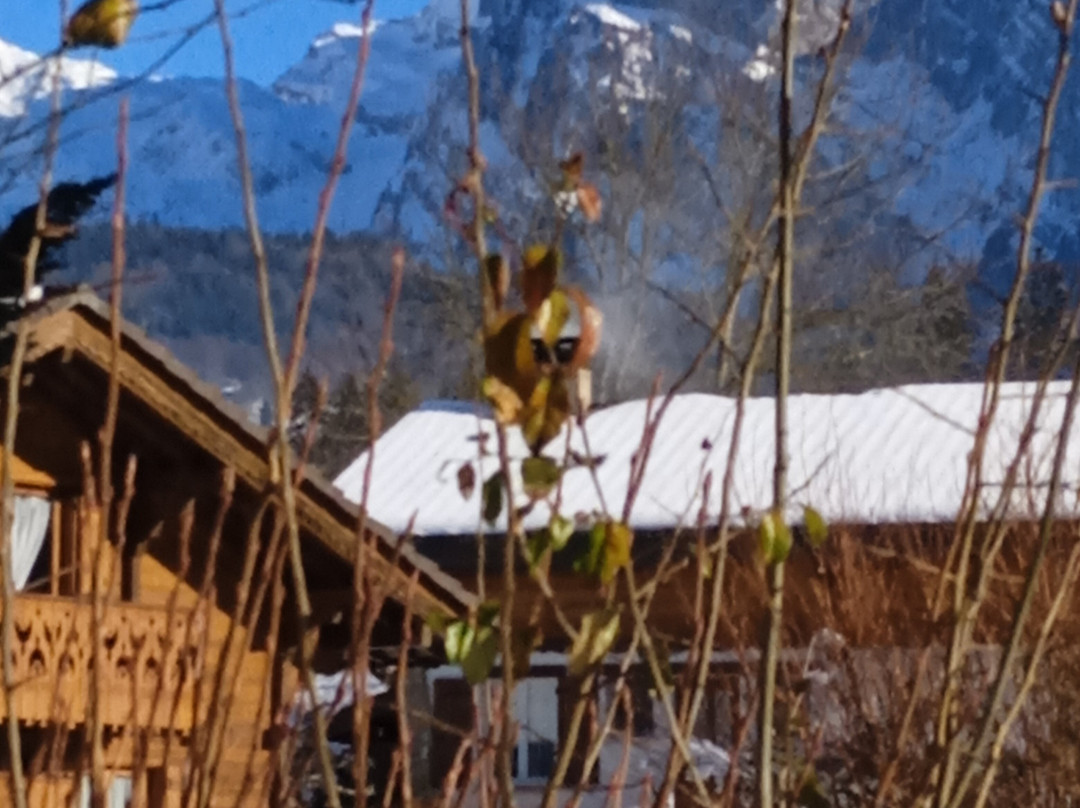 Grand Massif Ski Area景点图片