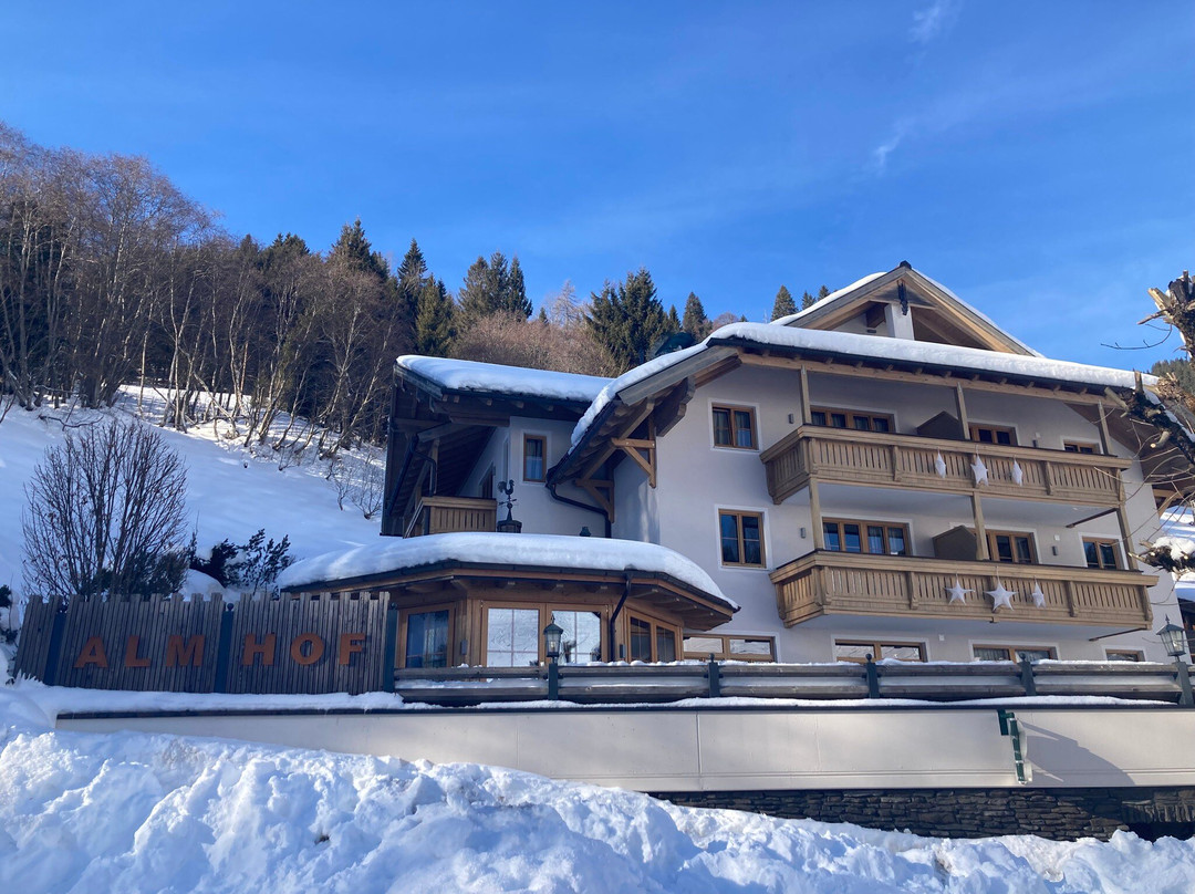 Almhof Alpin Apartments & Spa主图