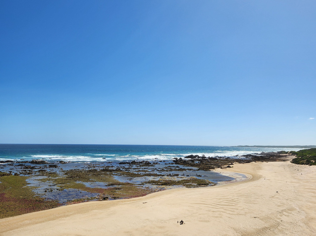 Umzantsi Afrika Tours-伊丽莎白港必去景点