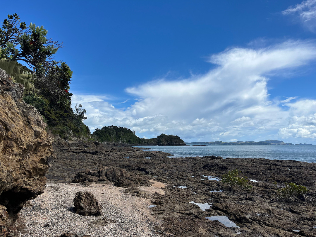Bay Beach Hire景点图片