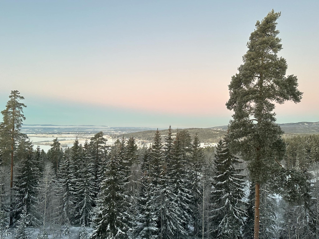 PAN Treetop Cabins