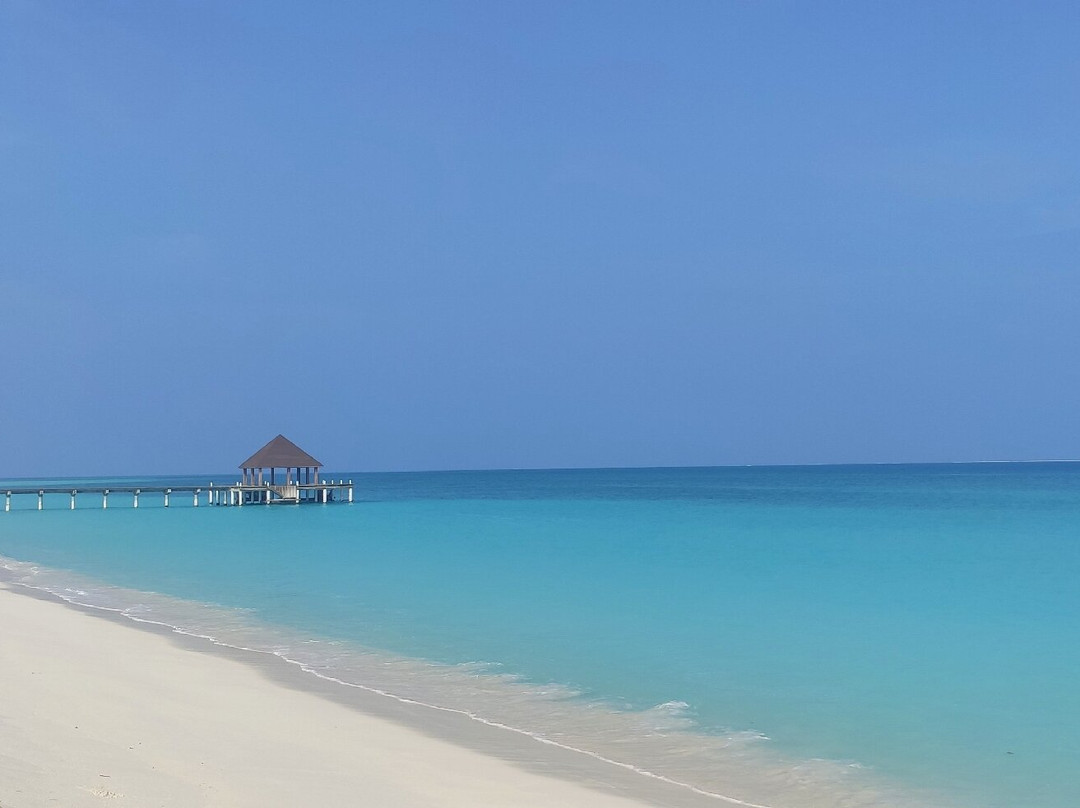 Oceano Beach Vashafaru主图