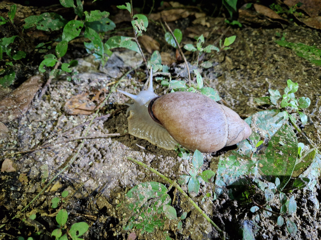 Suforyou-帕拉马里博必去景点