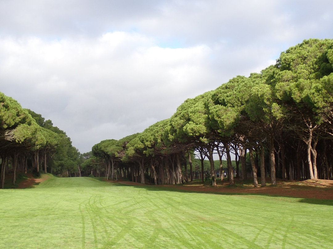 Golf Platja De Pals景点图片