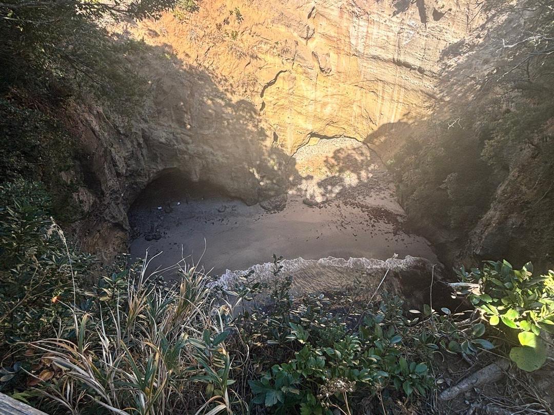 Ryugu Park景点图片