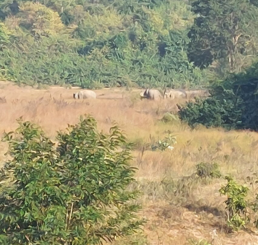 Kui Buri National Park-桂武里必去景点