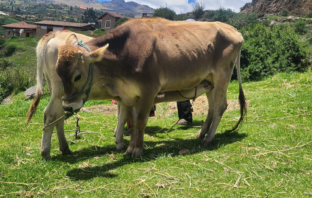 El Parque de la Papa-库斯科必去景点