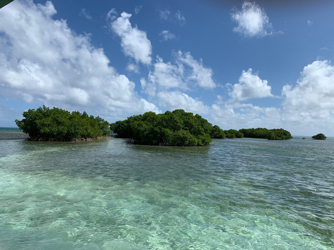Guadeloupe Evasion Découverte Private Tours景点图片