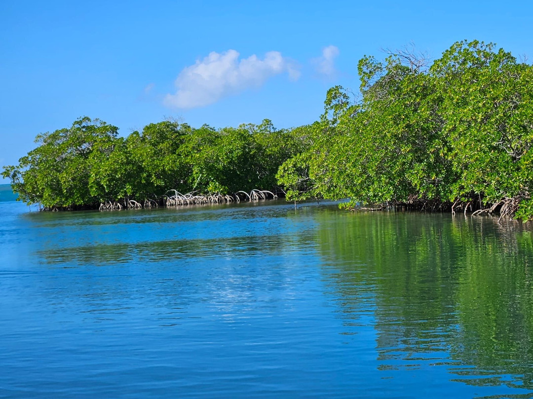 Guadeloupe Evasion Découverte Private Tours景点图片
