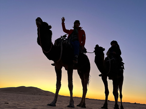 All Morocco Tours-非斯必去景点