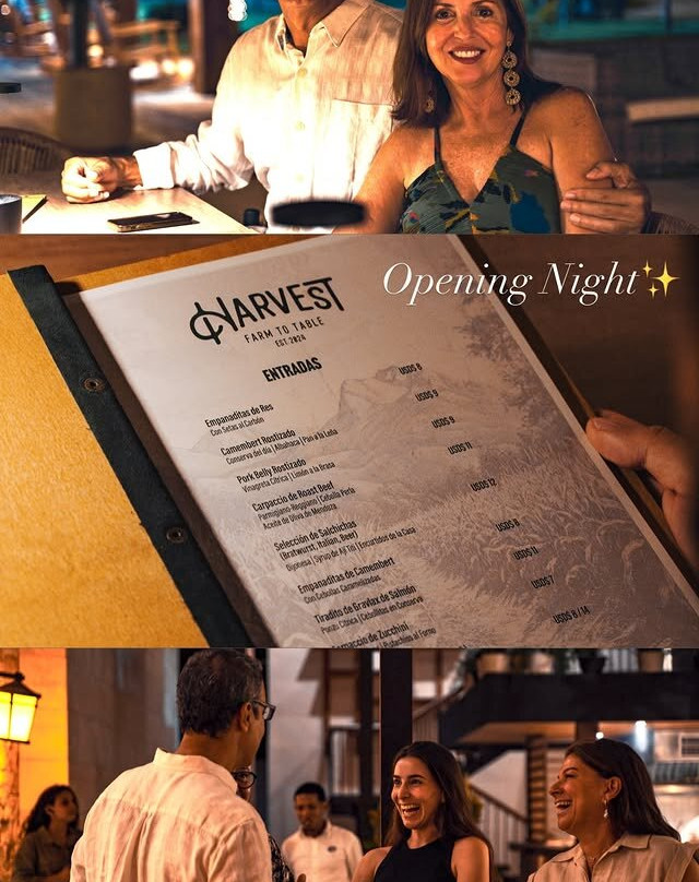 Harvest - Cap Cana