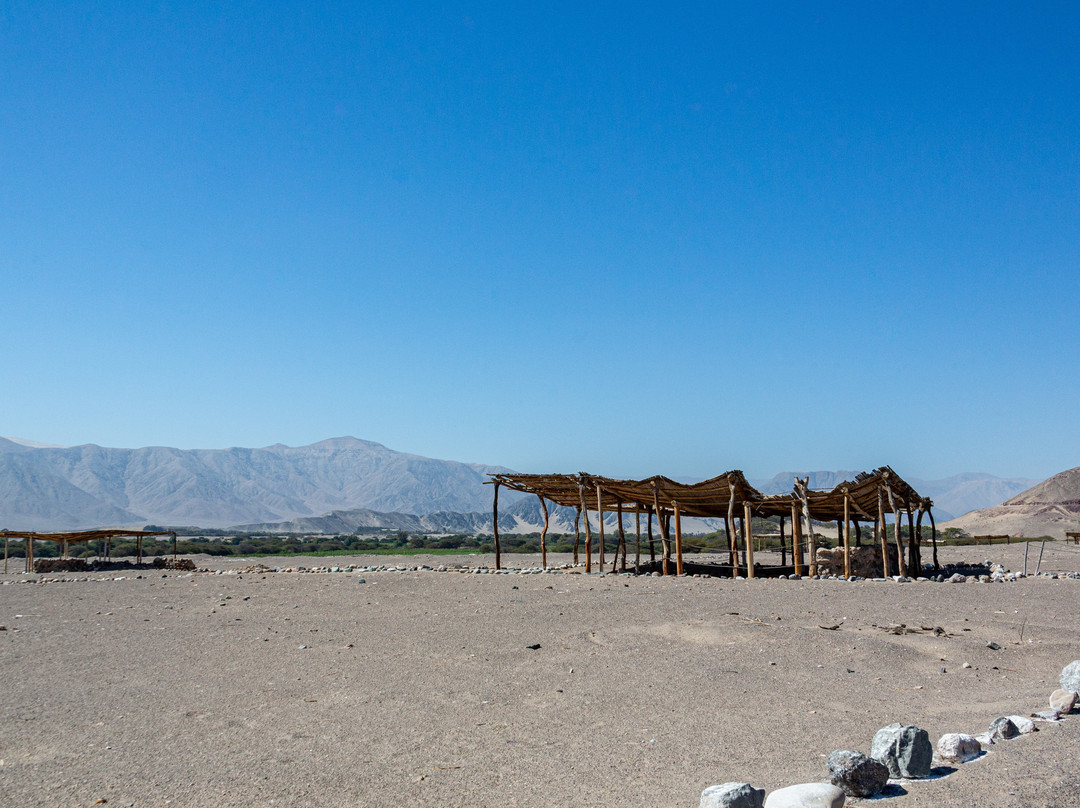 Cementerio Chauchilla-纳斯卡必去景点