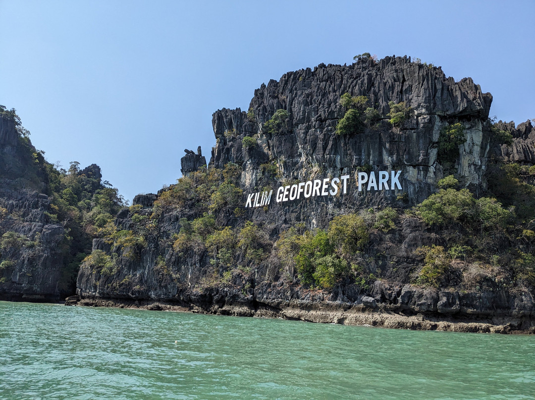 兰卡威巴德红树林之旅景点图片