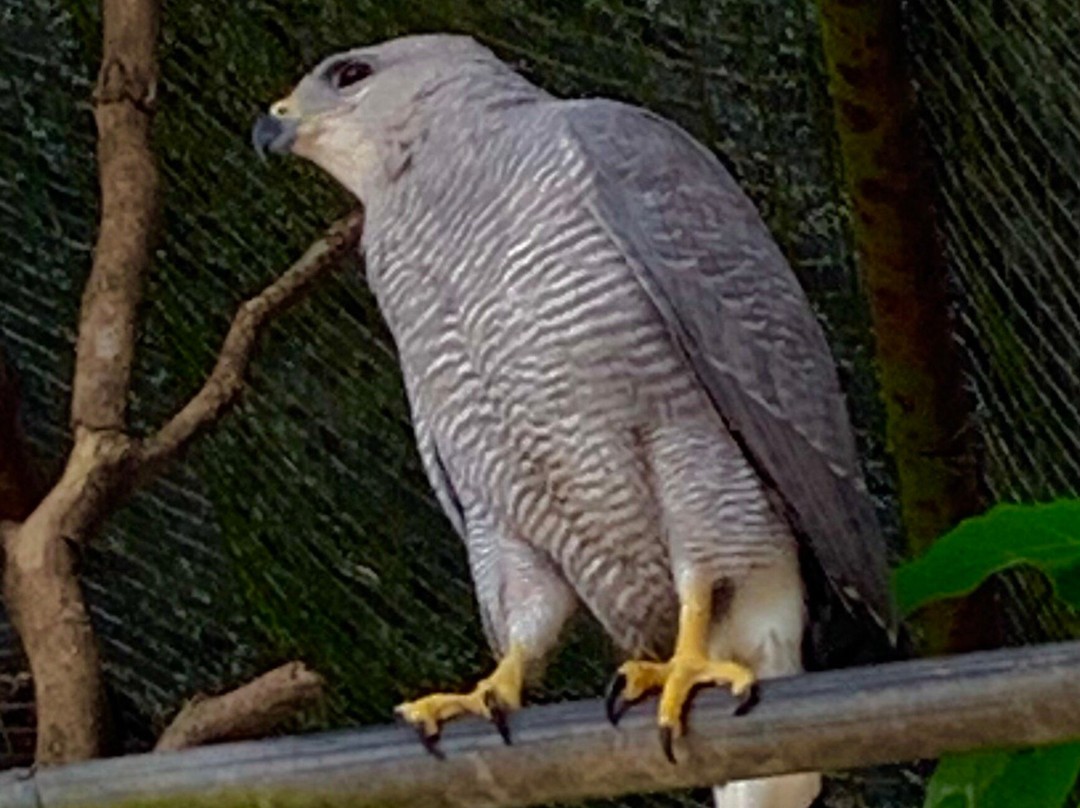 Emperor Valley Zoo-西班牙港必去景点