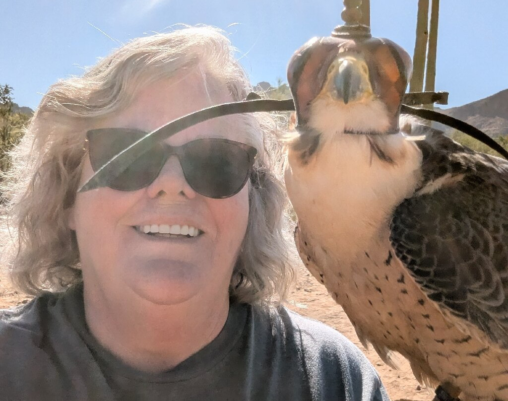 Sky Island Falconry Experience-图森必去景点