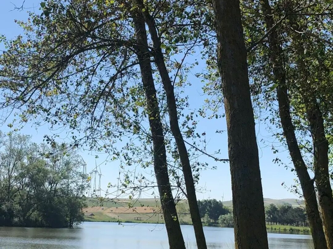 Lago Mignatta景点图片