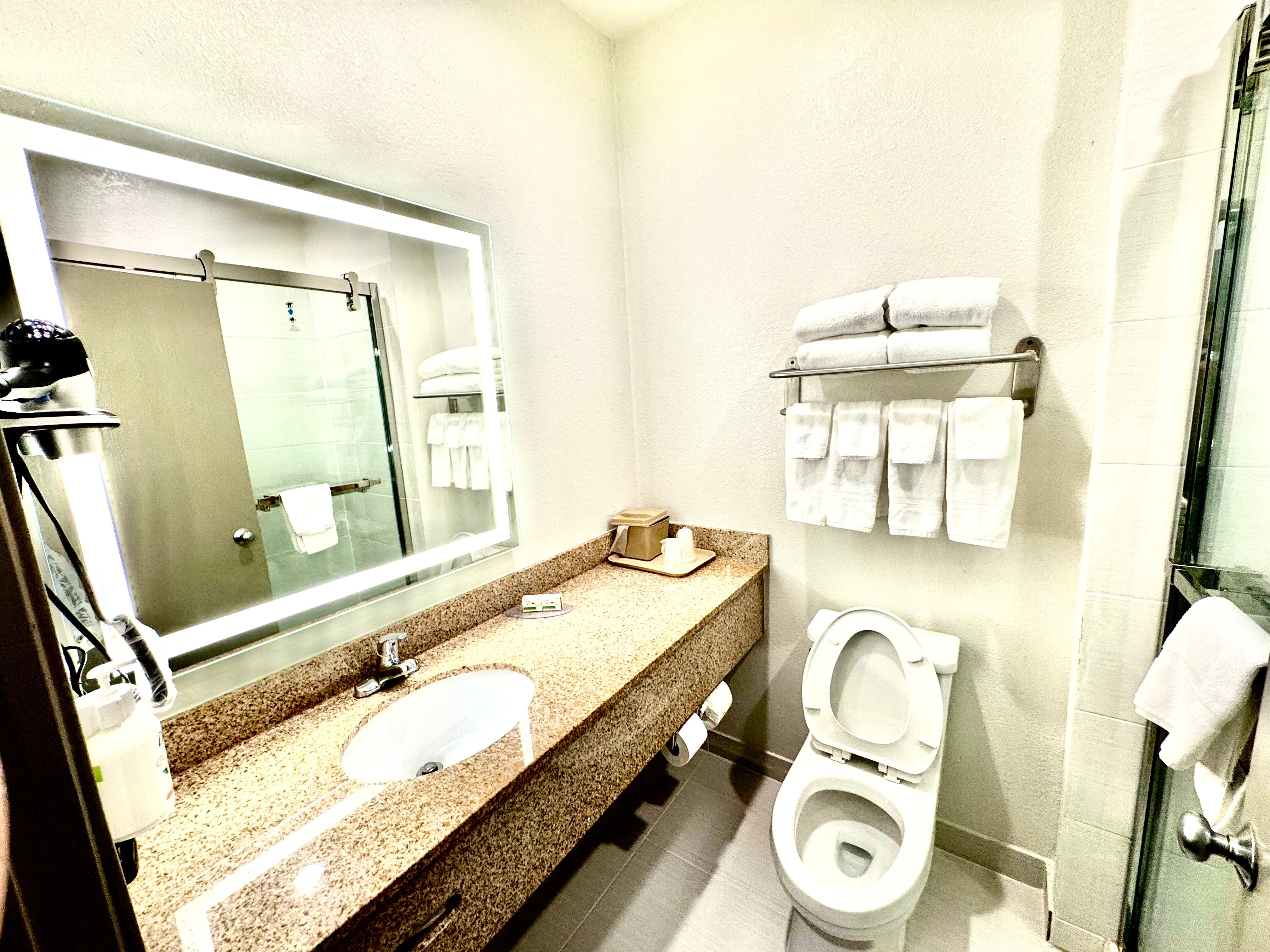 Baymont by Wyndham Richmond I-70-浴室