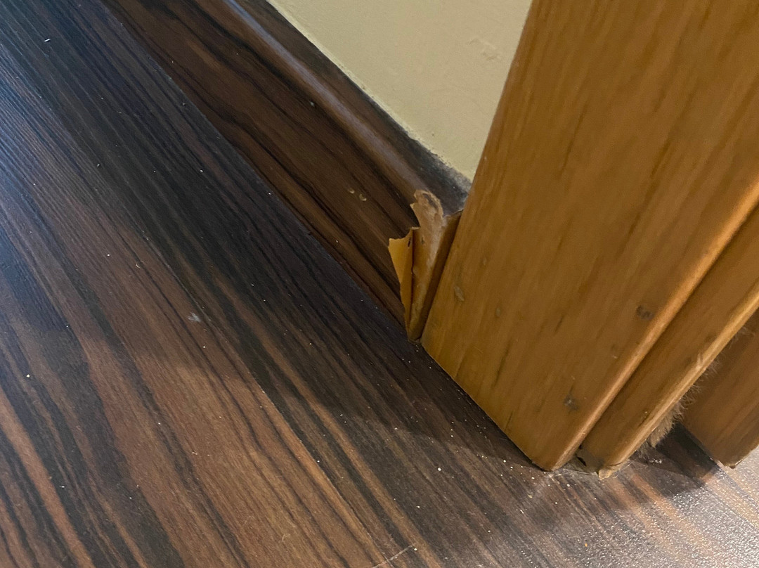 Hotel Balneario de Lanjaron主图