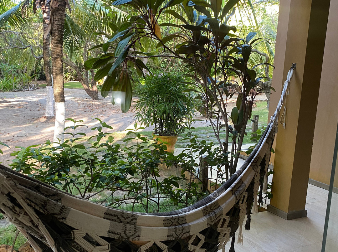 Pousada Jardim Cambui主图