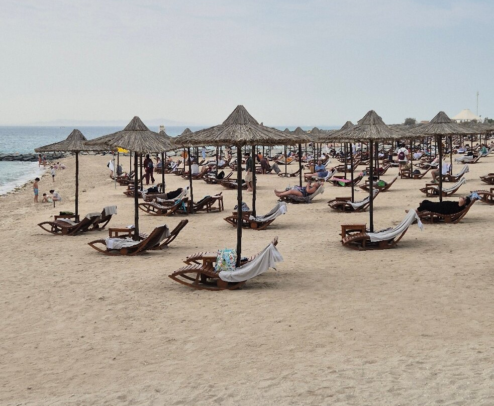 Sir Bani Yas Cruise Beach-萨巴尼亚岛必去景点